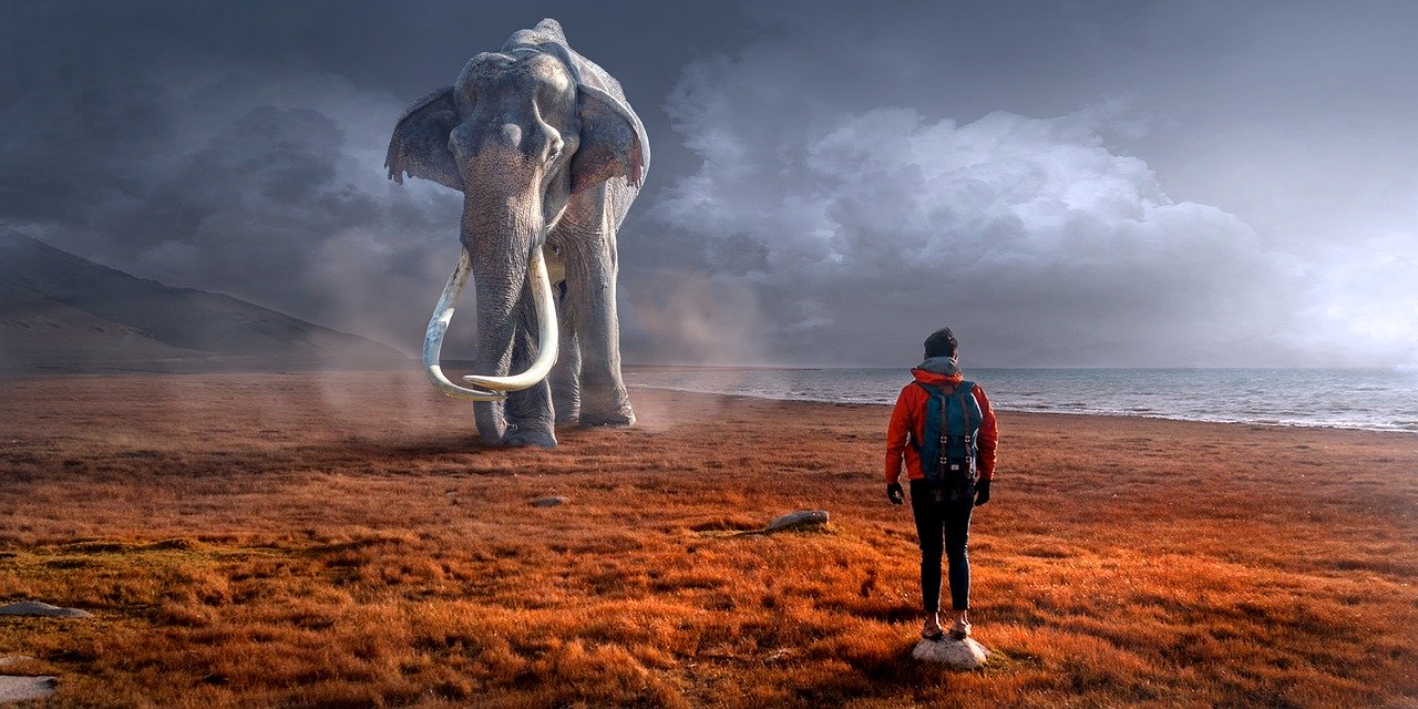 Fantasy elephant & landscape
