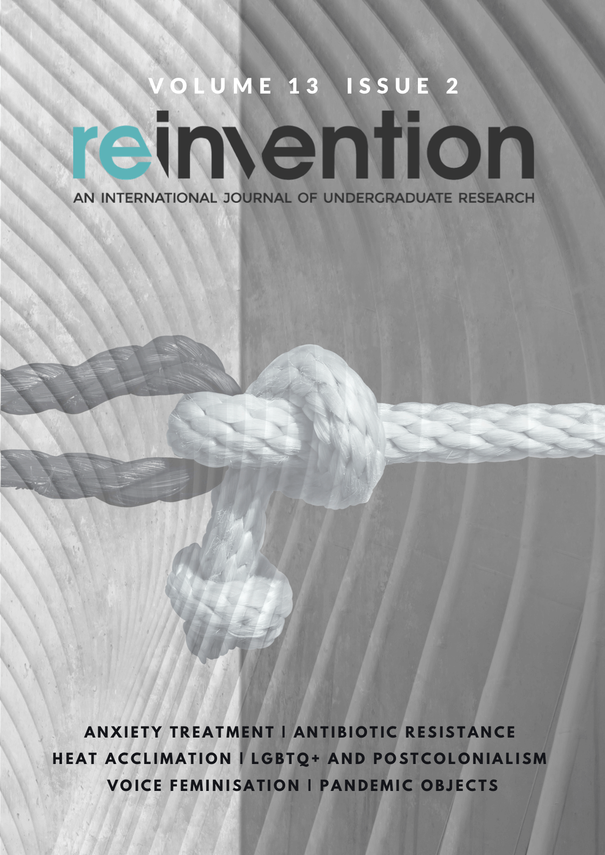 Reinvention journal volume 13 issue 2 cover